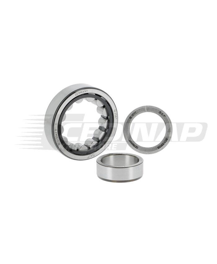 Roulement à rouleaux 6205 BC1/1442B (KZ/OK/OKJ/S125)