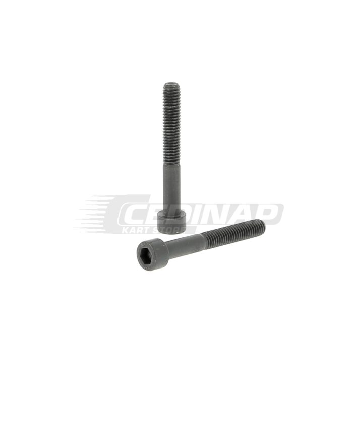 Kit de 20 Vis BTR 6x45