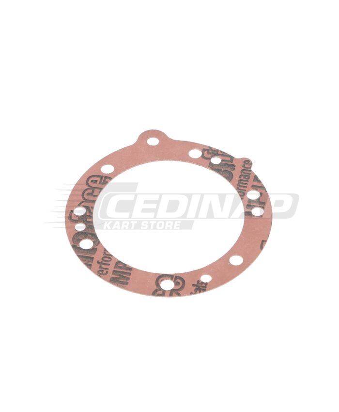 Joint membrane pompe essence